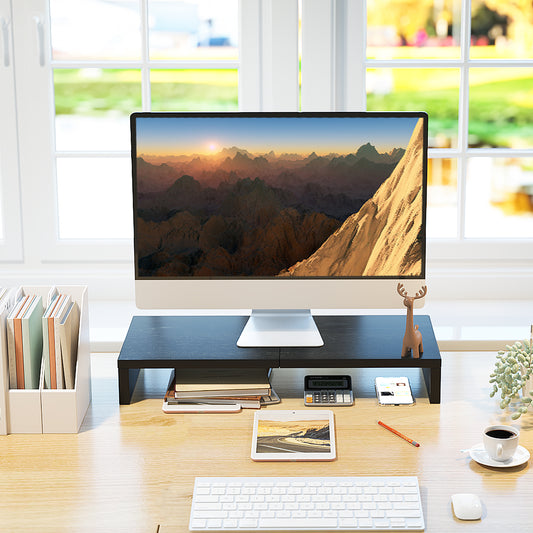 20 Inch Monitor Stand Riser. DS500