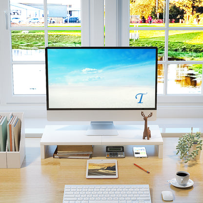 20 Inch Monitor Stand Riser. DS500