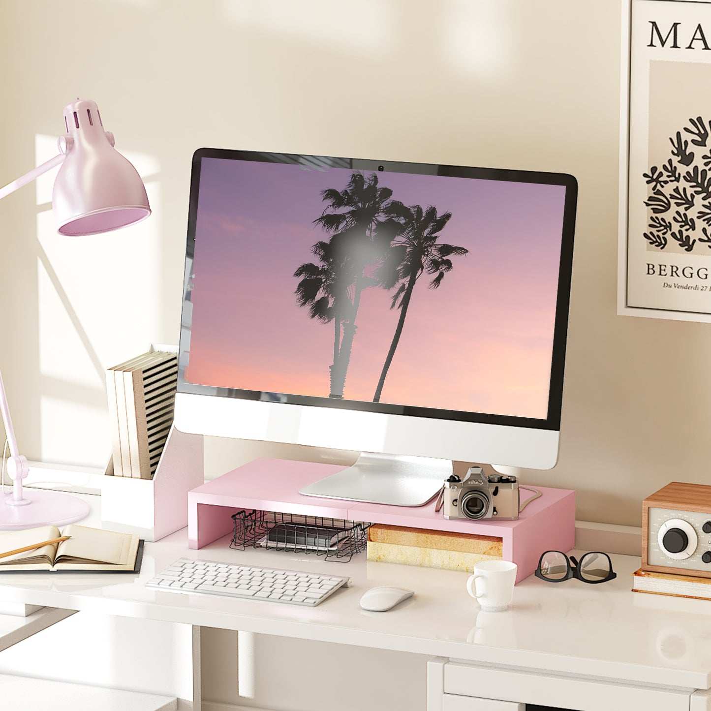 20 Inch Monitor Stand Riser. DS500